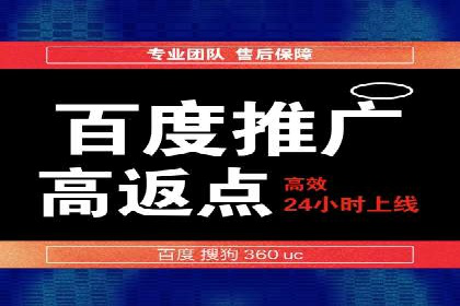 SEM托管服务，成功案例分享转化秘诀